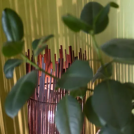 Taunuslodge * Neu-Anspach